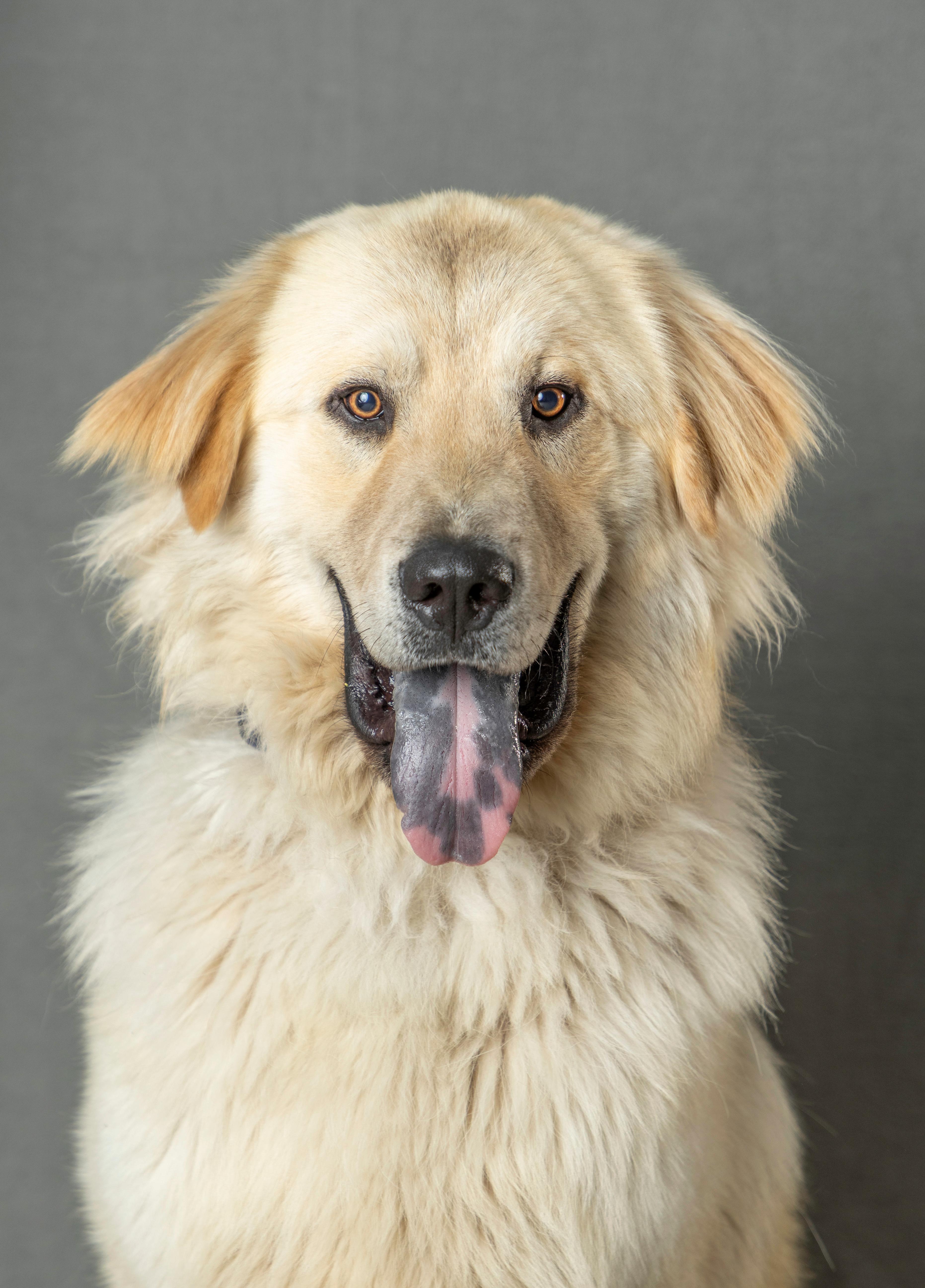 Diesel, Chief Morale Officer